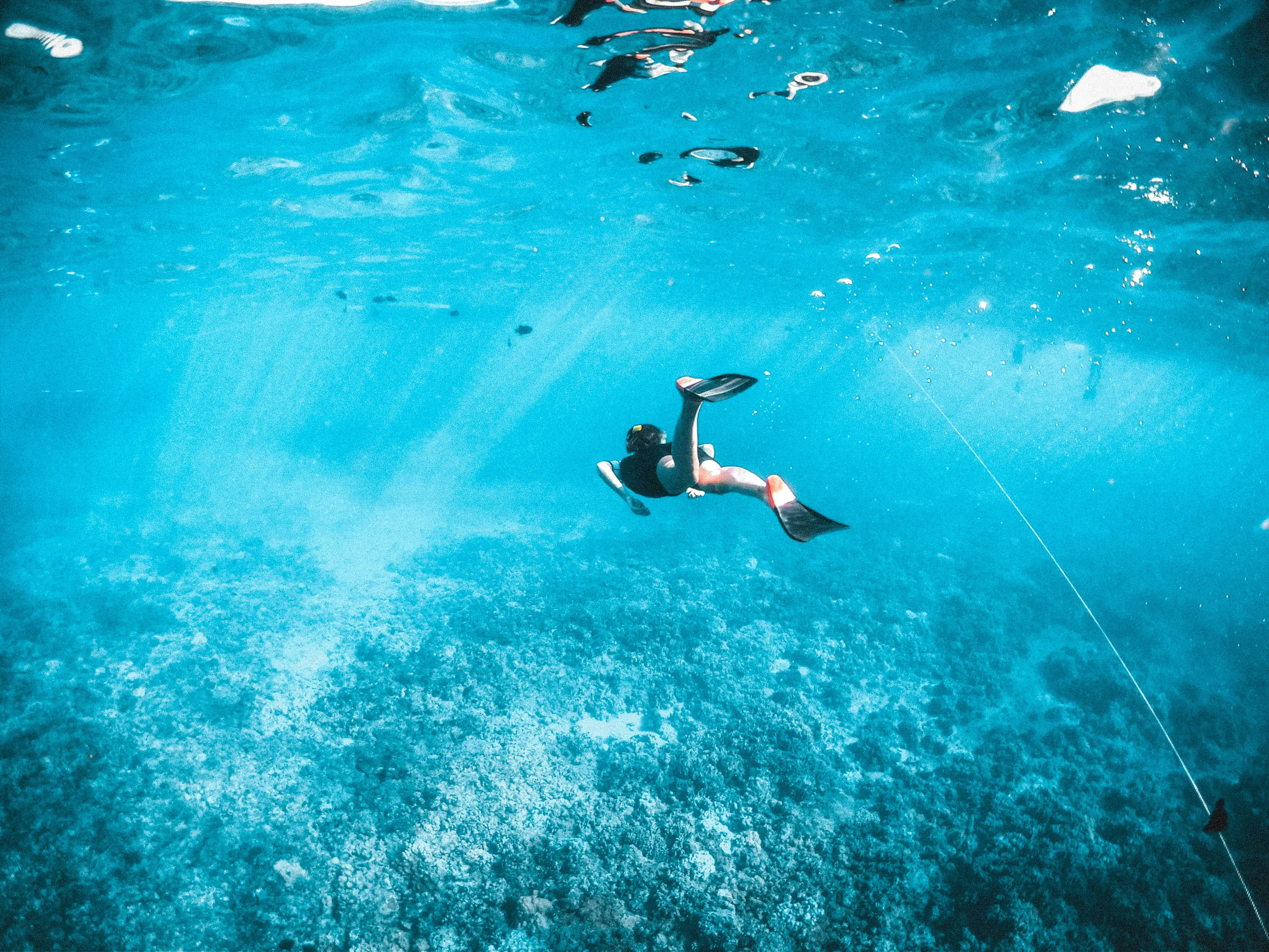 Imagen debajo del agua